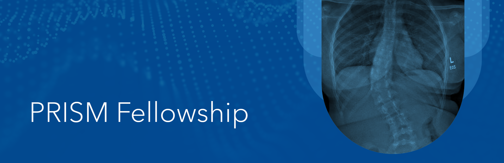 PRISM Fellowship